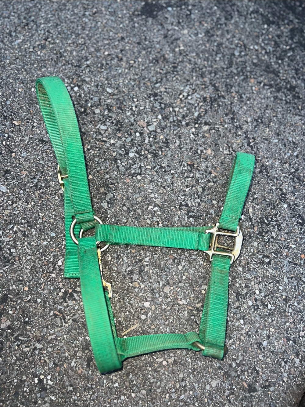 Green Nylon Quick Snap Halter - Cob